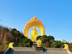 -庐山风景名胜区-东林大佛