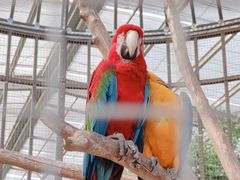 -南宫五洲植物乐园