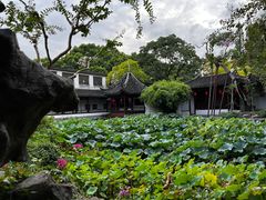 -上海醉白池公园