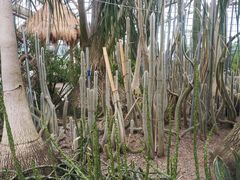 -南山植物园