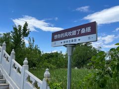 -御林古桑园
