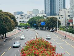 -金鸡山公园