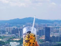 -茶颜悦色(岳麓山顶店)