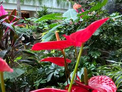 -广州白天鹅宾馆