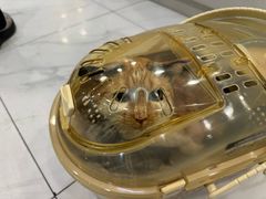 -艾吉宠物医院·疑难杂症转诊中心·猫友好(碧江路院)