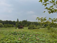 -宜兴龙背山森林公园
