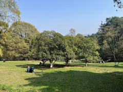 -生态园山庄(森林公园店)