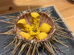 -海胆小馆(东北水饺·春柳店)