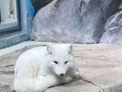 -海合安青岛极地海洋公园