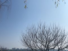-西湖游船