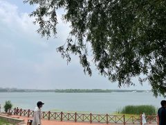 -丁香湖公园
