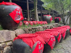 -姑婆山旅游区
