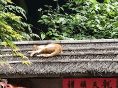 -龙华寺