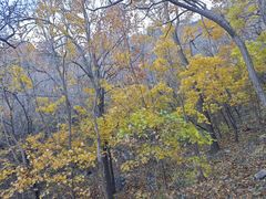 -北京鹫峰国家森林公园