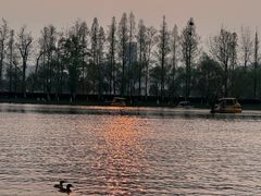 -洋湖国家湿地公园