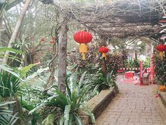 -海南热带野生动植物园