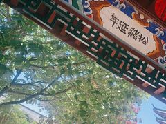 -木府