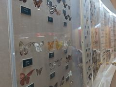 -陕西自然博物馆