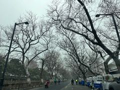 -西园戒幢律寺