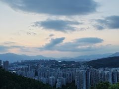 -福道