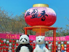 -盈香心动乐园
