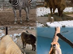 -济南野生动物世界