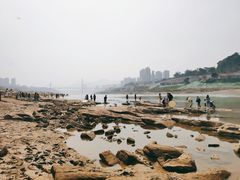 -金海湾滨江公园