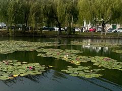-南北湖风景区