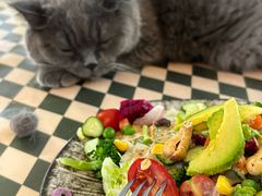 -Rabbit Cafe私房西餐甜点咖啡(栖霞路店)