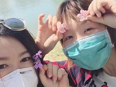 -大兴滨河森林公园