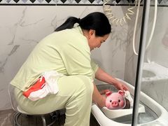 -田螺阿姨自营月嫂·育儿嫂(高新店)
