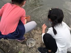 -秀丽东方