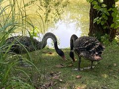 -长兴太湖图影湿地文化园