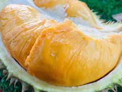 -槟城街头艺术街区