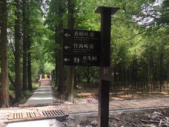 -同里国家湿地公园