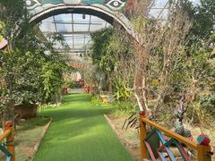-呀路古热带植物园
