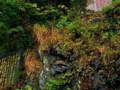 -滴水洞景区
