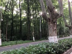 -灵谷景区