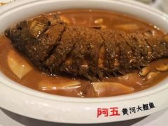 -阿五黄河大鲤鱼(海尚店)