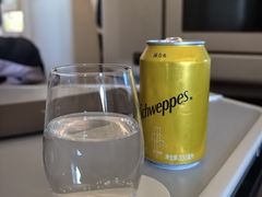 -海南海航航空信息系统公司