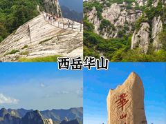 -秦始皇帝陵博物院(兵马俑)