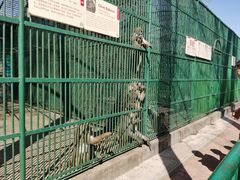 -秦皇岛野生动物园