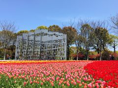 -上海鲜花港