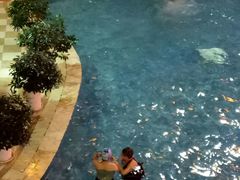 -碧水豪园·足浴·SPA·汗蒸·那须汤泉(中山东路店)