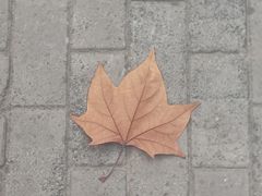 -河南牧业经济学院(龙子湖校区)