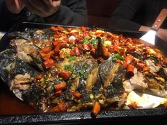 香辣烤鱼-善生坊巫山烤全鱼(龙旗广场店)