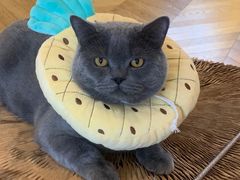 -Me Coffee下午茶艺术空间