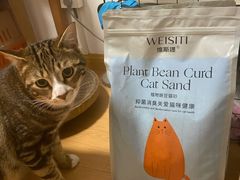 -1013 PET SHOP 宠物商店(近铁城市广场店)