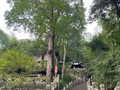 -韬光茶庵