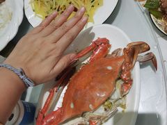 -金海湾海鲜排档(朱家尖店)